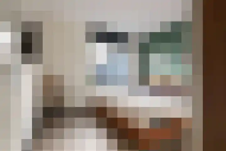 Lijsterbes 11 Nijkerk thumbnail 21