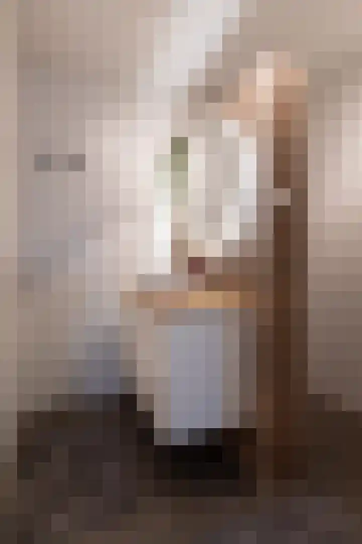 Lijsterbes 11 Nijkerk thumbnail 23