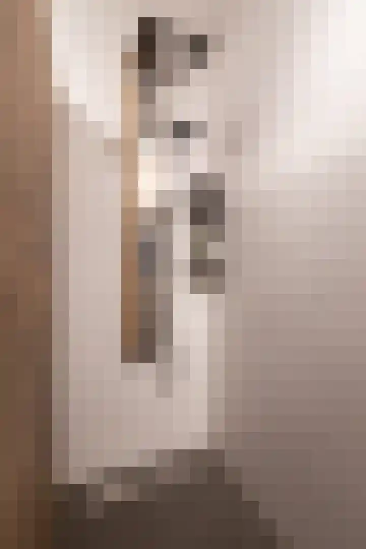 Lijsterbes 11 Nijkerk thumbnail 25