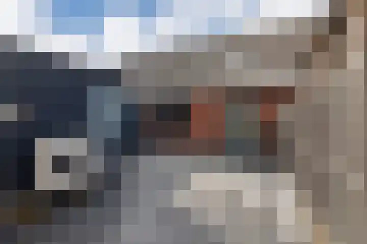Lijsterbes 11 Nijkerk thumbnail 30