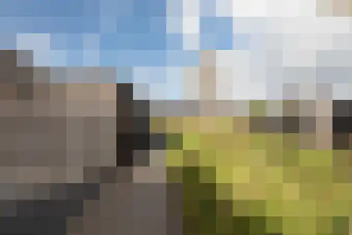 Lijsterbes 11 Nijkerk thumbnail 32