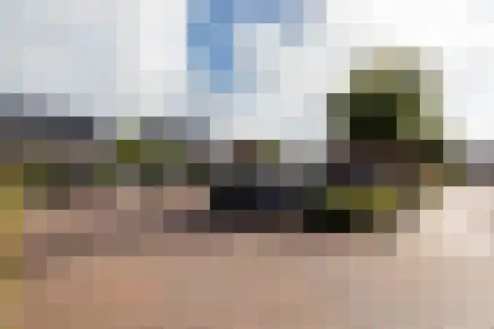 Lijsterbes 11 Nijkerk thumbnail 33