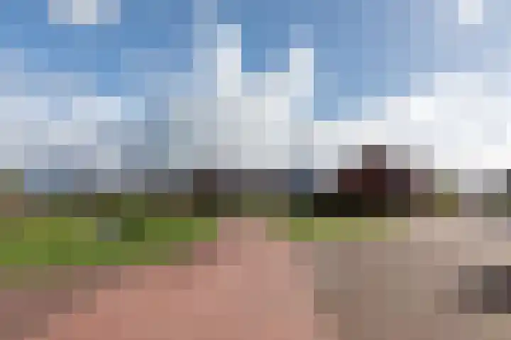 Lijsterbes 11 Nijkerk thumbnail 36