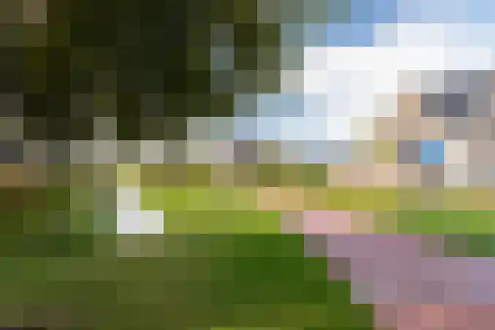 Lijsterbes 11 Nijkerk thumbnail 37