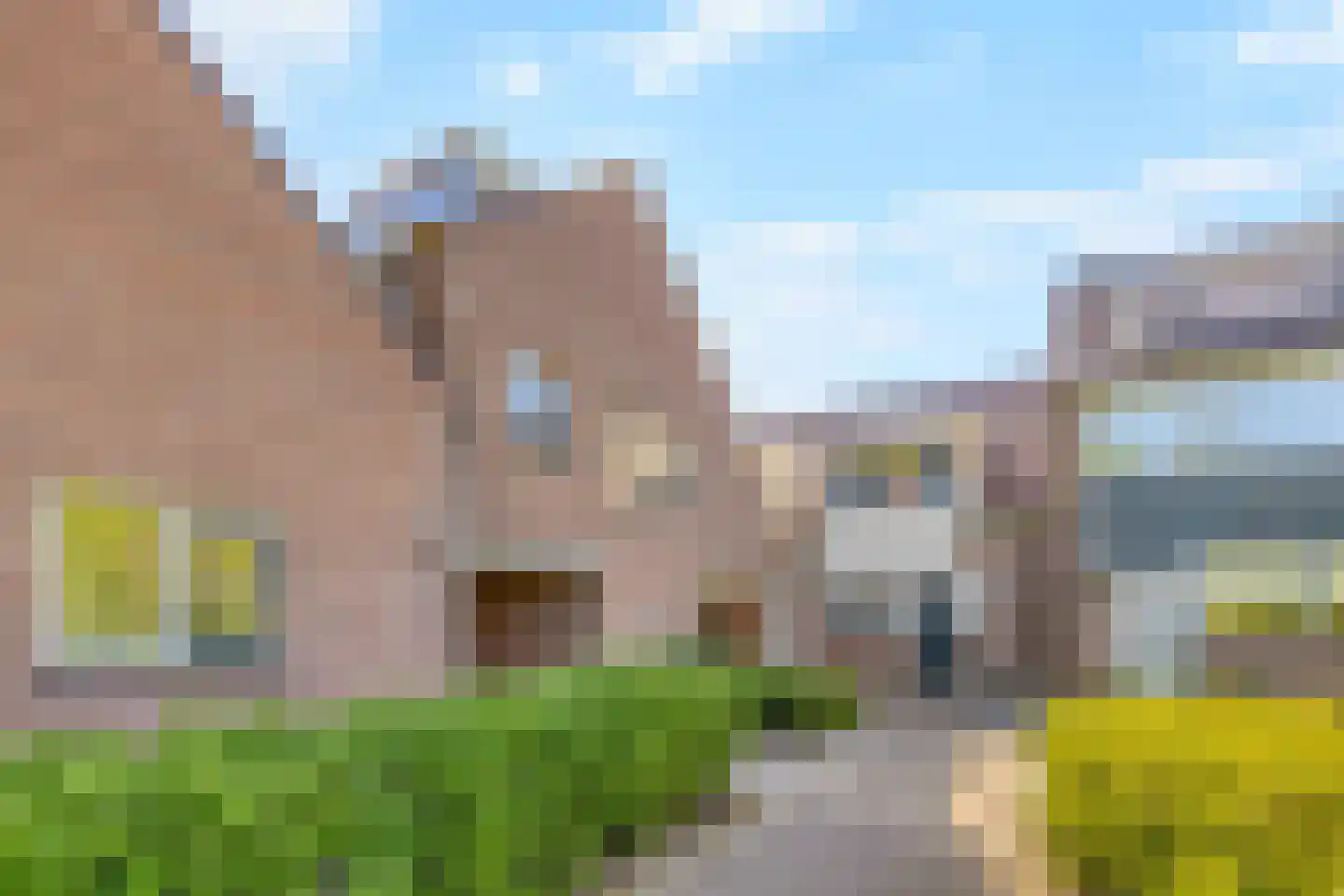 Lijsterbes 16 dans Naaldwijk