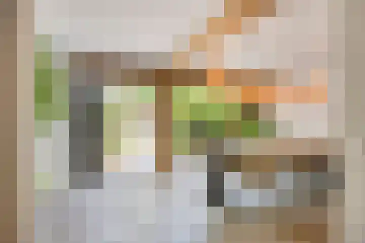 Lijsterbes 16 Krimpen aan den IJssel thumbnail 11