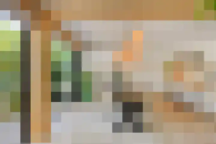 Lijsterbes 16 Krimpen aan den IJssel thumbnail 12