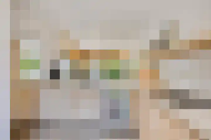 Lijsterbes 16 Krimpen aan den IJssel thumbnail 16