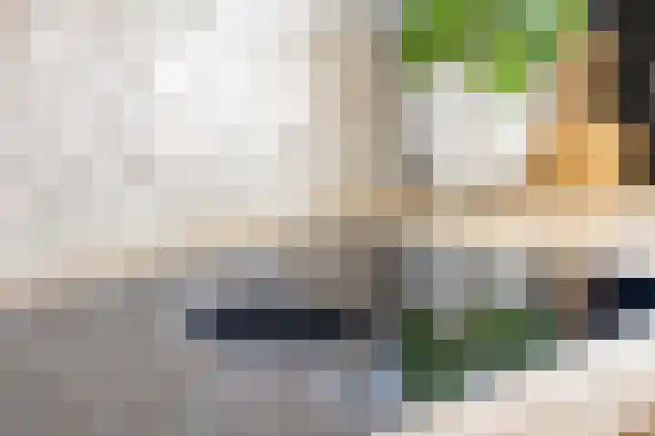 Lijsterbes 16 Krimpen aan den IJssel thumbnail 17