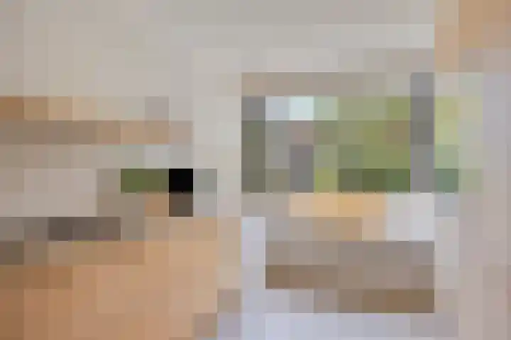 Lijsterbes 16 Krimpen aan den IJssel thumbnail 19