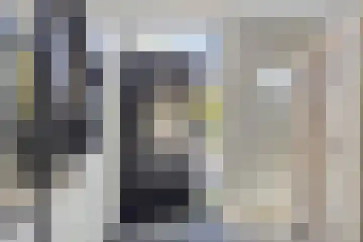 Lijsterbes 16 Krimpen aan den IJssel thumbnail 22