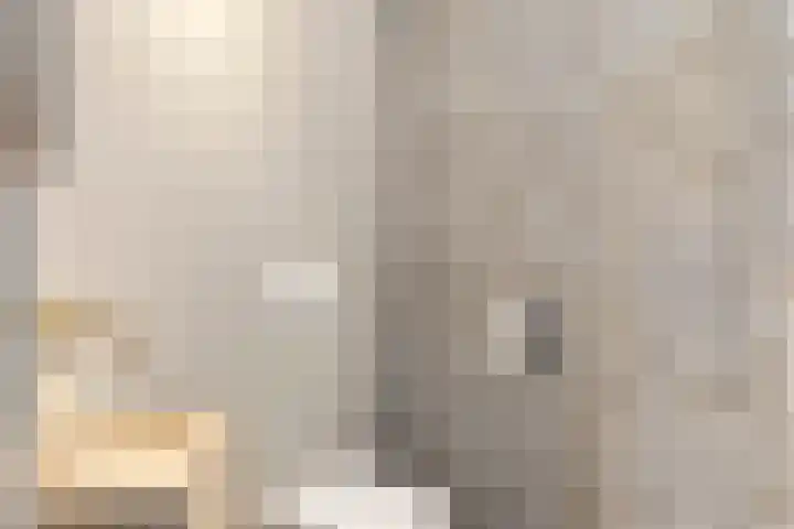 Lijsterbes 16 Krimpen aan den IJssel thumbnail 23