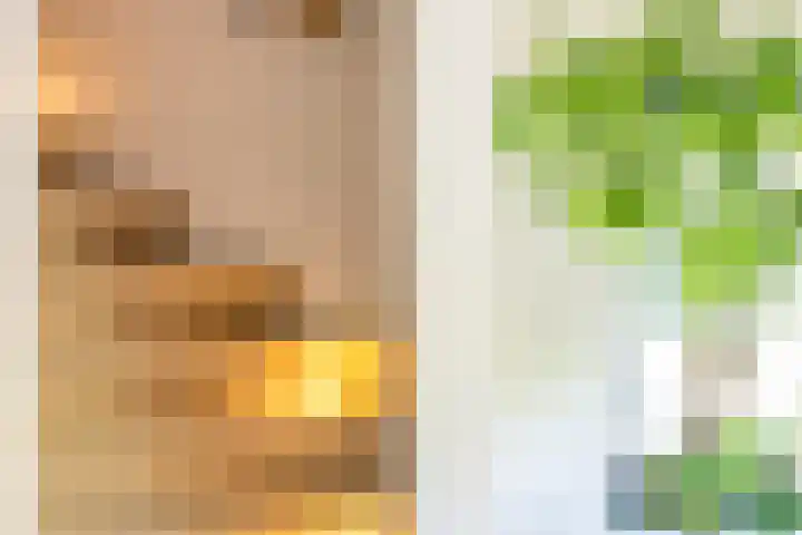Lijsterbes 16 Krimpen aan den IJssel thumbnail 26