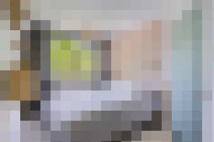 Lijsterbes 16 Krimpen aan den IJssel thumbnail 30