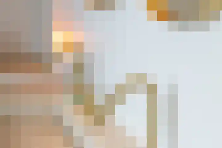 Lijsterbes 16 Krimpen aan den IJssel thumbnail 34