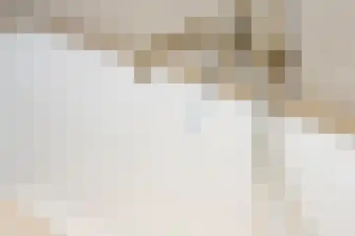 Lijsterbes 16 Krimpen aan den IJssel thumbnail 35