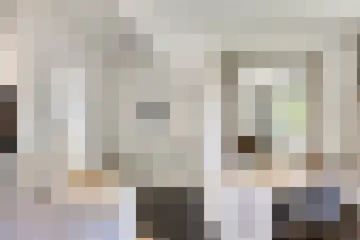 Lijsterbes 16 Krimpen aan den IJssel thumbnail 38