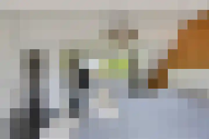 Lijsterbes 16 Krimpen aan den IJssel thumbnail 39