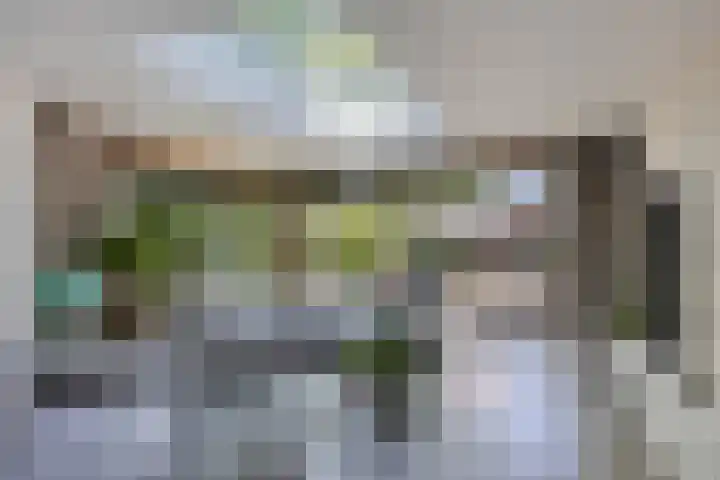 Lijsterbes 16 Krimpen aan den IJssel thumbnail 4