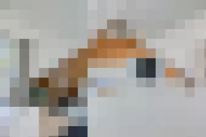 Lijsterbes 16 Krimpen aan den IJssel thumbnail 40