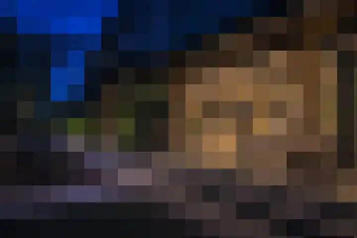 Lijsterbes 16 Krimpen aan den IJssel thumbnail 43