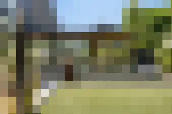 Lijsterbes 16 Krimpen aan den IJssel thumbnail 44