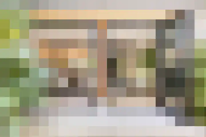 Lijsterbes 16 Krimpen aan den IJssel thumbnail 45