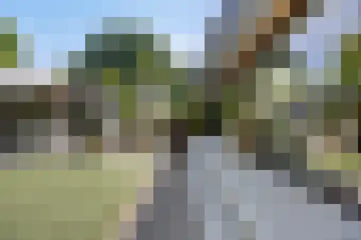 Lijsterbes 16 Krimpen aan den IJssel thumbnail 47