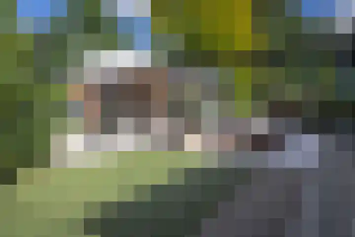 Lijsterbes 16 Krimpen aan den IJssel thumbnail 49