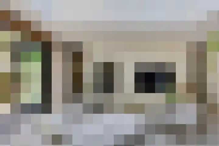 Lijsterbes 16 Krimpen aan den IJssel thumbnail 5