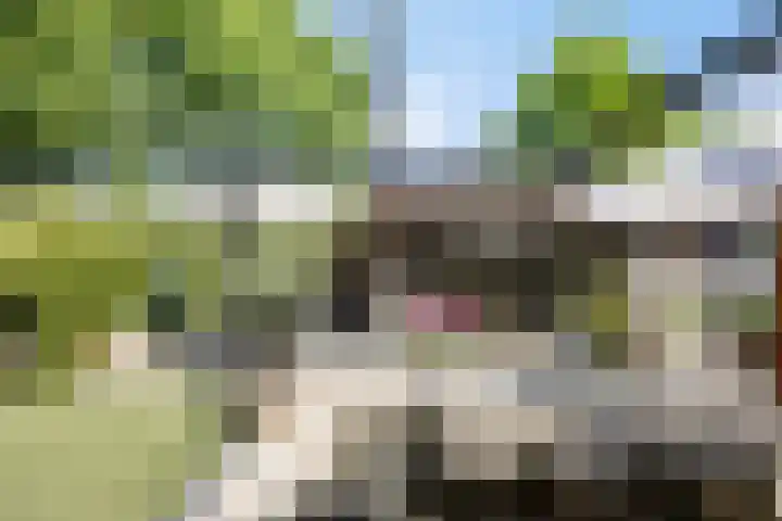 Lijsterbes 16 Krimpen aan den IJssel thumbnail 51