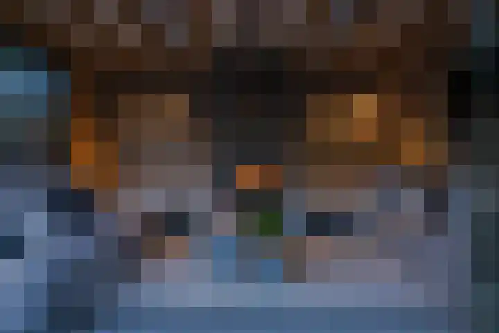 Lijsterbes 16 Krimpen aan den IJssel thumbnail 53