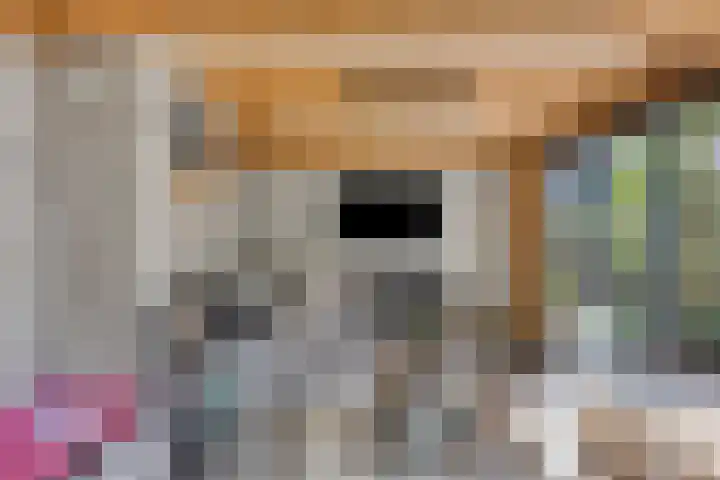 Lijsterbes 16 Krimpen aan den IJssel thumbnail 54