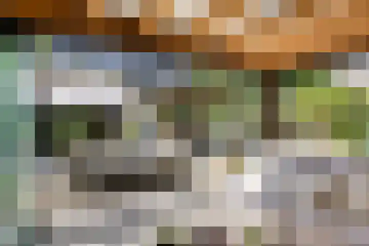 Lijsterbes 16 Krimpen aan den IJssel thumbnail 55