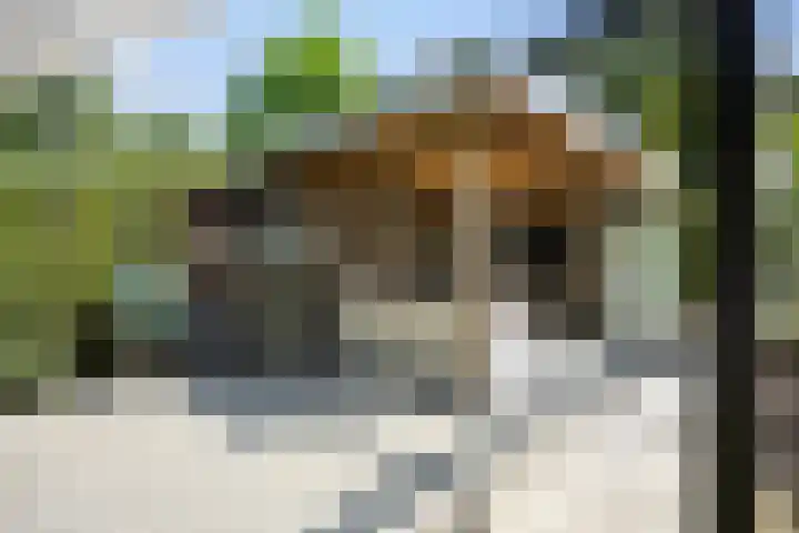Lijsterbes 16 Krimpen aan den IJssel thumbnail 56