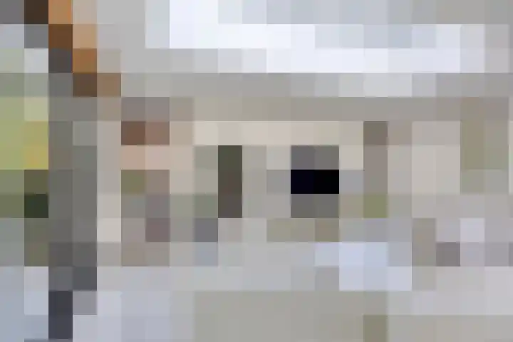 Lijsterbes 16 Krimpen aan den IJssel thumbnail 6