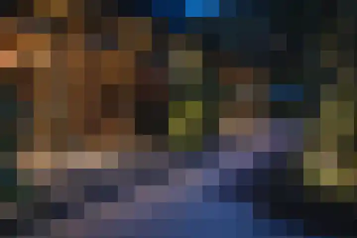 Lijsterbes 16 Krimpen aan den IJssel thumbnail 60