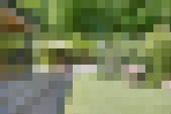 Lijsterbes 16 Krimpen aan den IJssel thumbnail 61