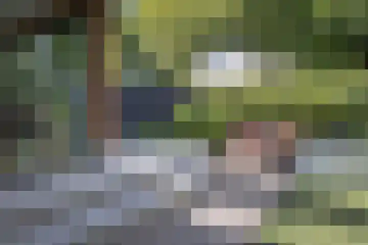 Lijsterbes 16 Krimpen aan den IJssel thumbnail 62