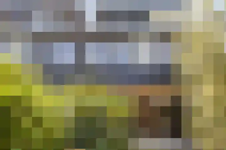 Lijsterbes 16 Krimpen aan den IJssel thumbnail 63