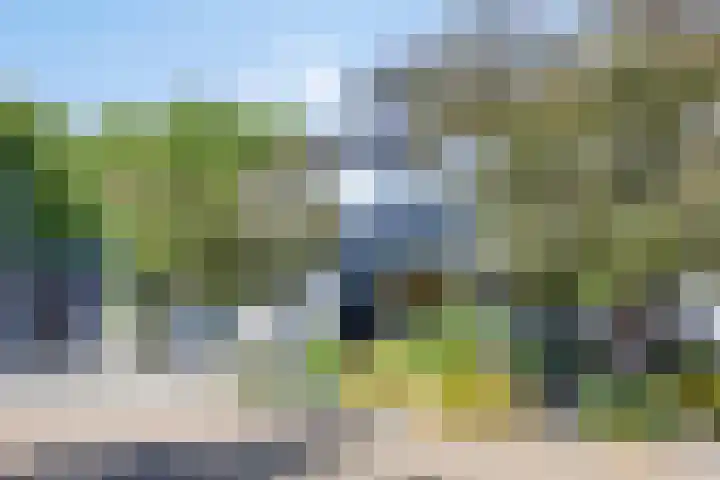 Lijsterbes 16 Krimpen aan den IJssel thumbnail 64