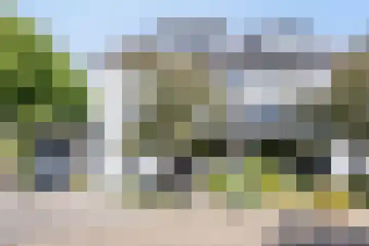 Lijsterbes 16 Krimpen aan den IJssel thumbnail 67