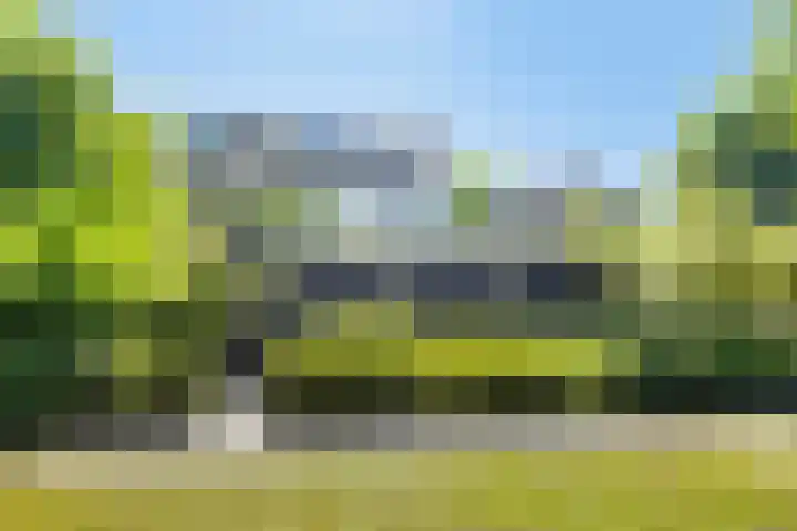 Lijsterbes 16 Krimpen aan den IJssel thumbnail 68