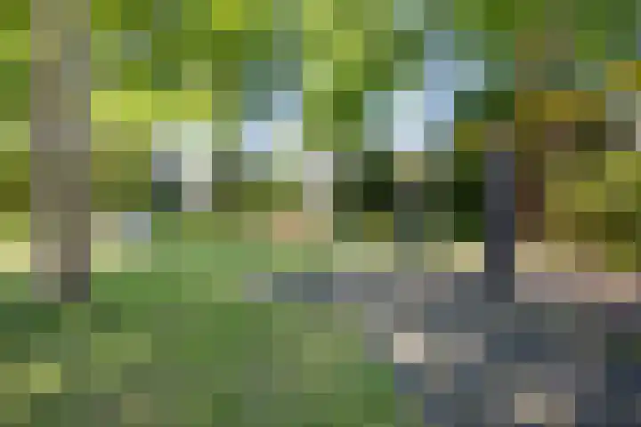 Lijsterbes 16 Krimpen aan den IJssel thumbnail 69