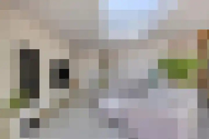 Lijsterbes 16 Krimpen aan den IJssel thumbnail 7