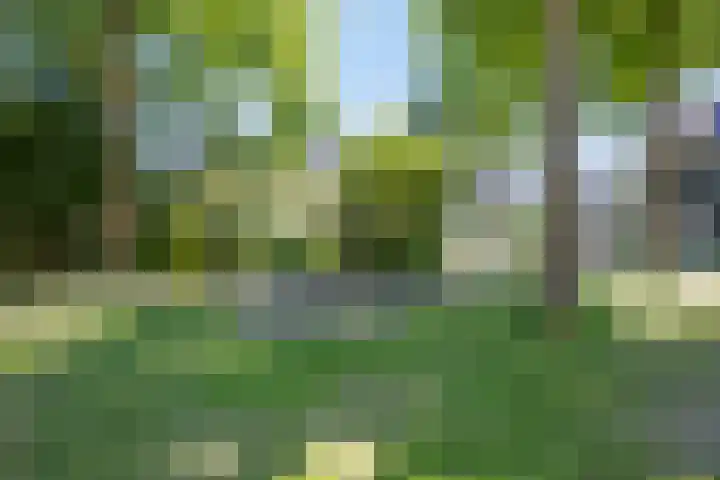 Lijsterbes 16 Krimpen aan den IJssel thumbnail 70
