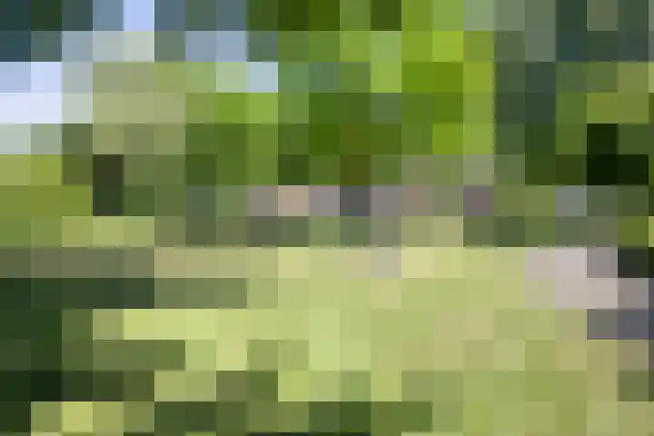 Lijsterbes 16 Krimpen aan den IJssel thumbnail 71
