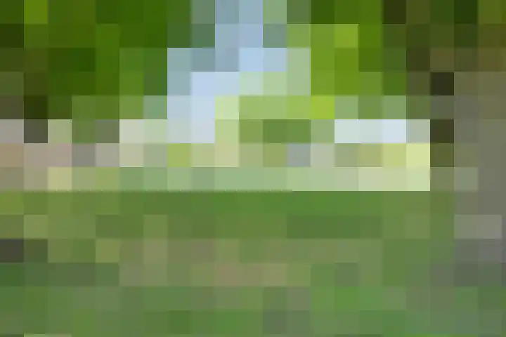Lijsterbes 16 Krimpen aan den IJssel thumbnail 72