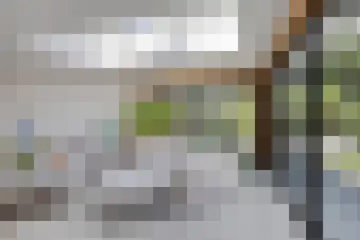 Lijsterbes 16 Krimpen aan den IJssel thumbnail 8