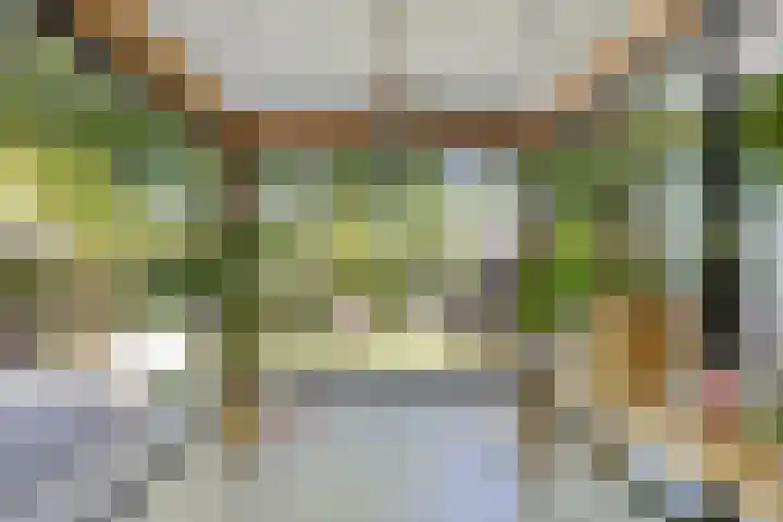 Lijsterbes 16 Krimpen aan den IJssel thumbnail 9